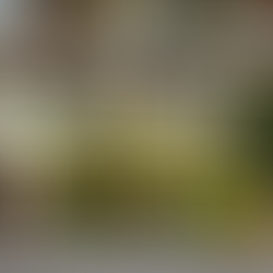 Street view of a modern hotel with green doors, bikes parked outside, and plants on balconies. Large "HOTELL" sign visible.