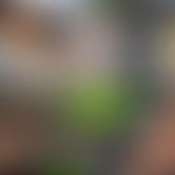 DIY Charcoal Lighter Cubes: Grilling on a Budget with Candles-Wood Dust-Egg Trays ! 🔥 #Budget #bbq