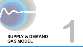 FlowTran-X Tutorial 1: Gas Supply - Demand Model