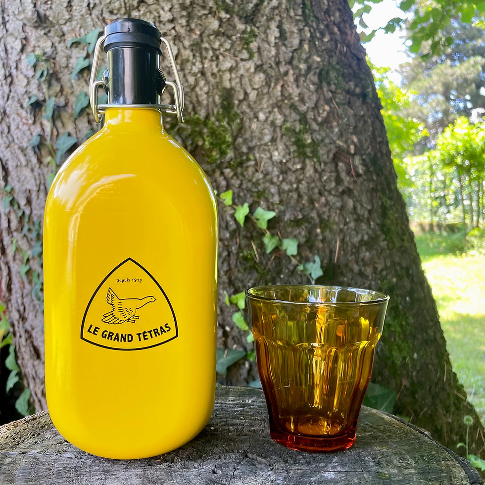 Miniature : LE PACK DURALEX / 1 GOURDE AU CHOIX+ 6 VERRES COULEURS