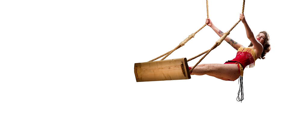BANNER (4).png