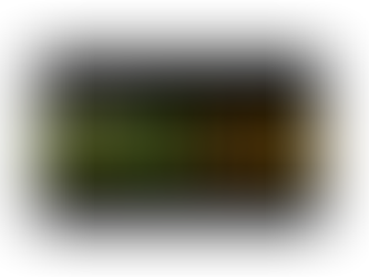 NLVMUG 2019 preparations