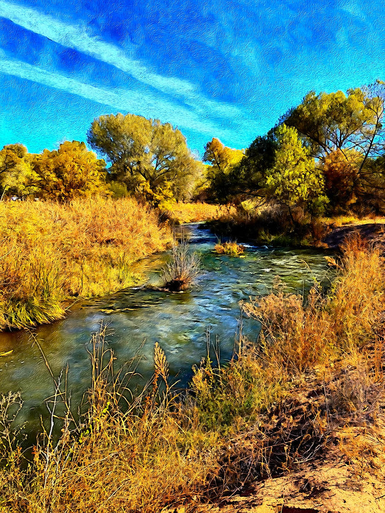 Cottonwood, Arizona Acupucture