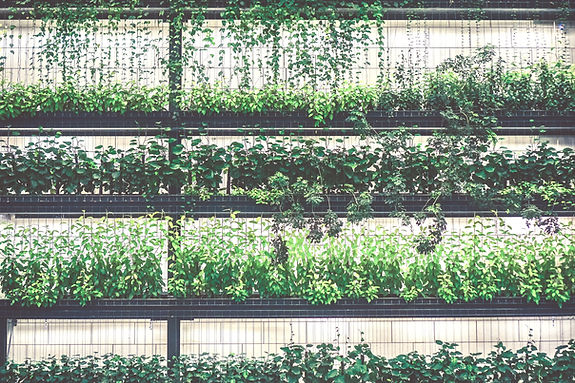 Vertical Garden View