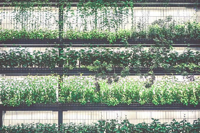 Vertical Garden View