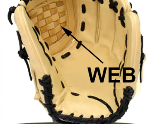 baseball glove web replacement