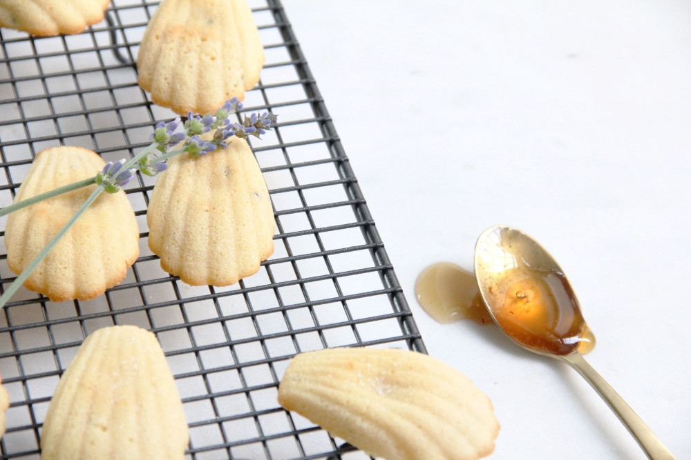 French madeleines recipe