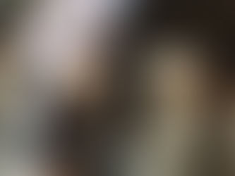 公堂の徒然なるままに ~馬~