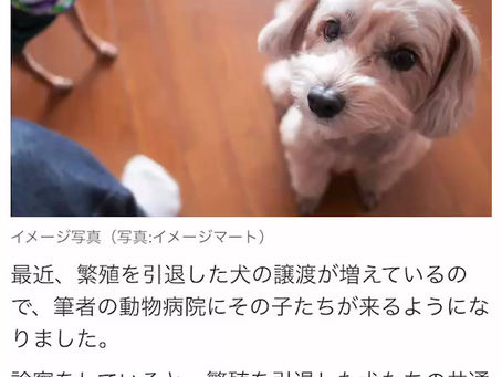 公堂の徒然なるままに