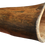Thumbnail: Didgeridoo Série Arbóreo - A7