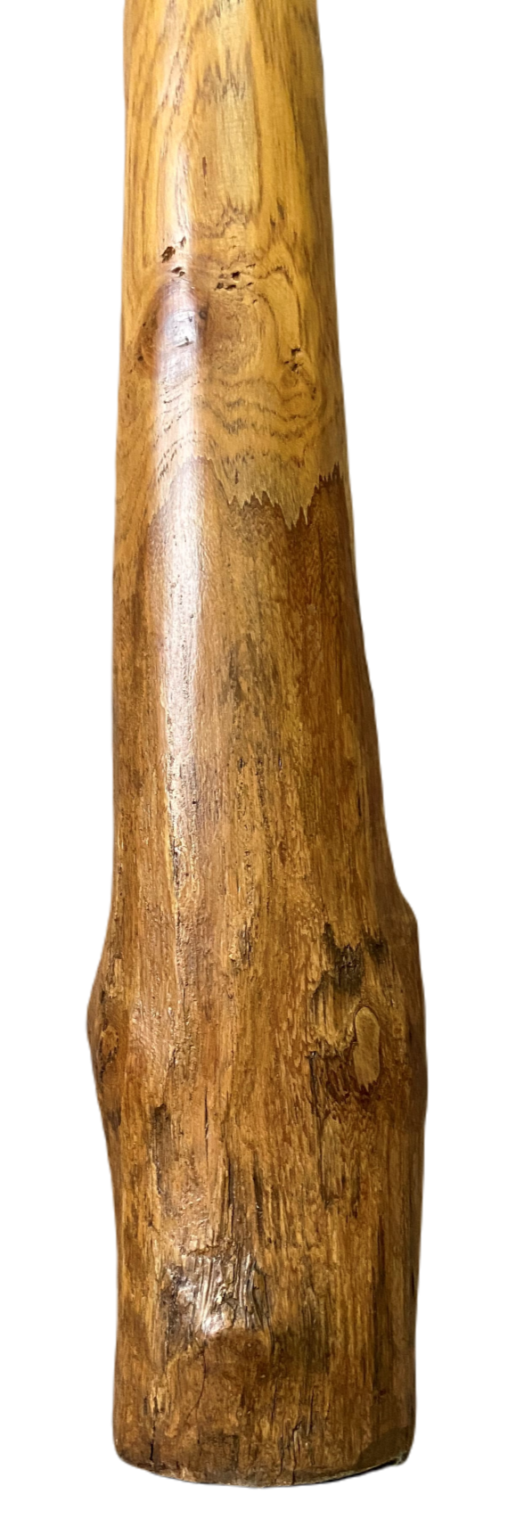 Thumbnail: Didgeridoo Série Arbóreo - A8