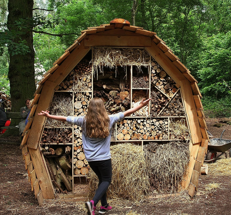 Bug Hotel