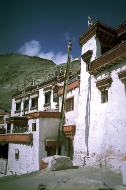 123t.jpg