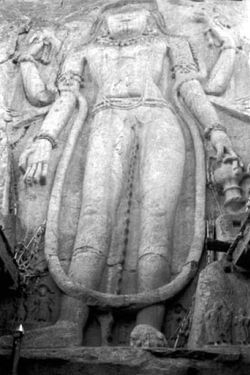 127t.jpg