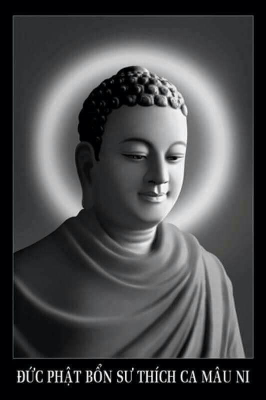 35a15df53a881f47c650a6bcd5efbe3b