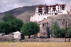 106.jpg