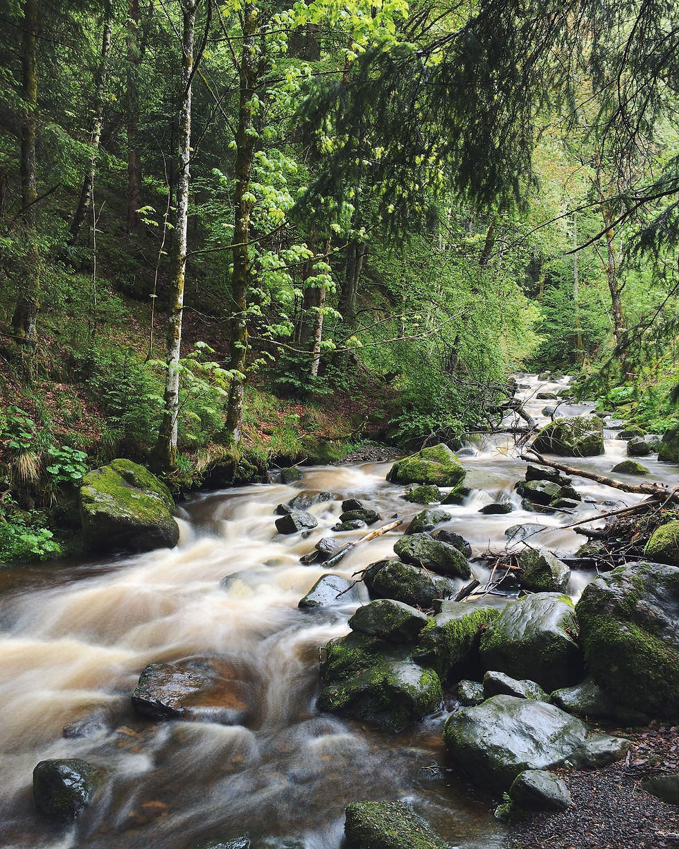 279061794_542397873910465_4958659621536110884_n