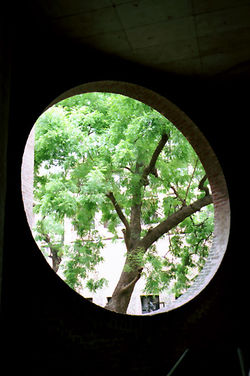 west_05_01.jpg