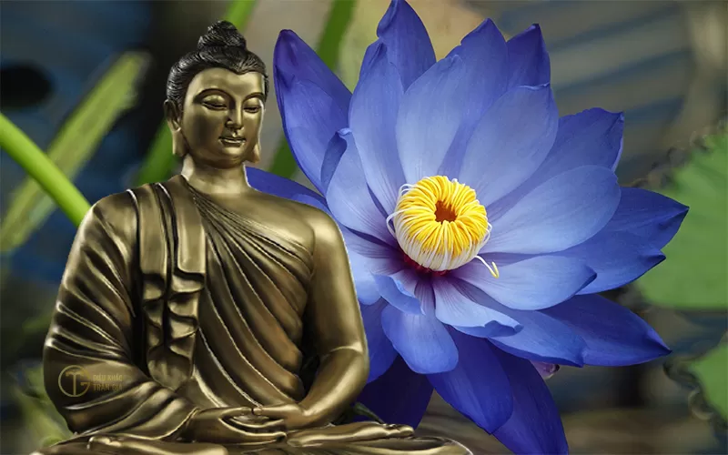 hinh-anh-duc-phat-bon-su-thich-ca-mau-ni-dep-nhat-142