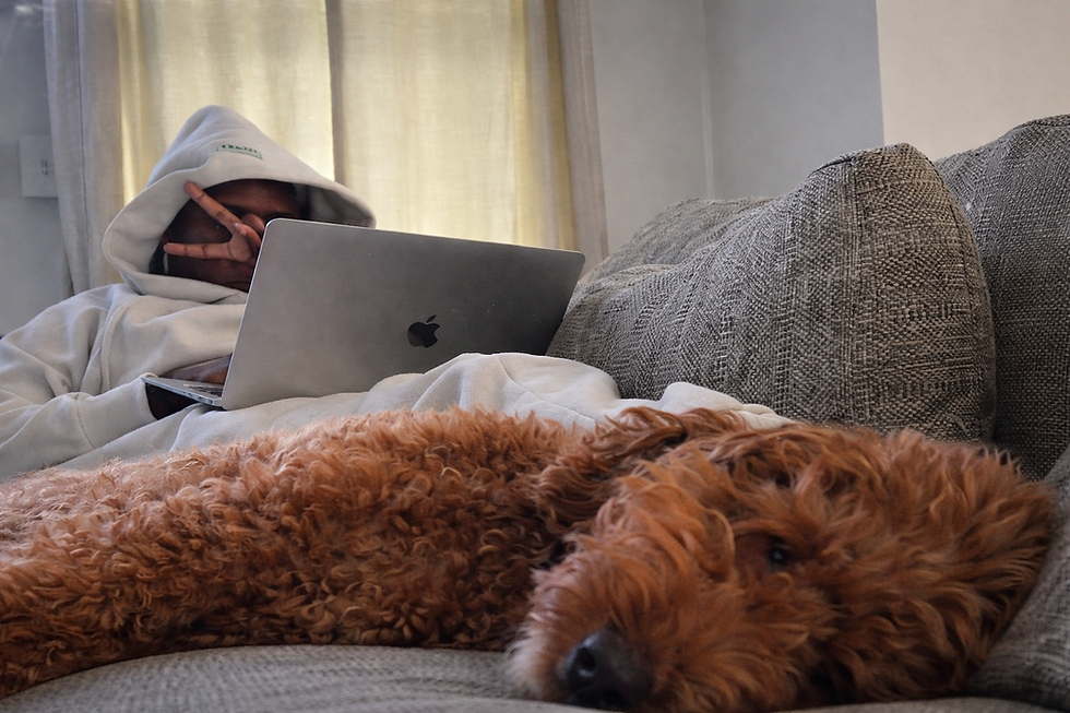 Person working on a laptop on the couch while their goldendoodle naps in the foreground during a quiet afternoon at home.