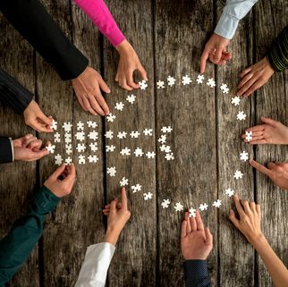Unleashing Board Expertise for Optimal CEO Decision Making