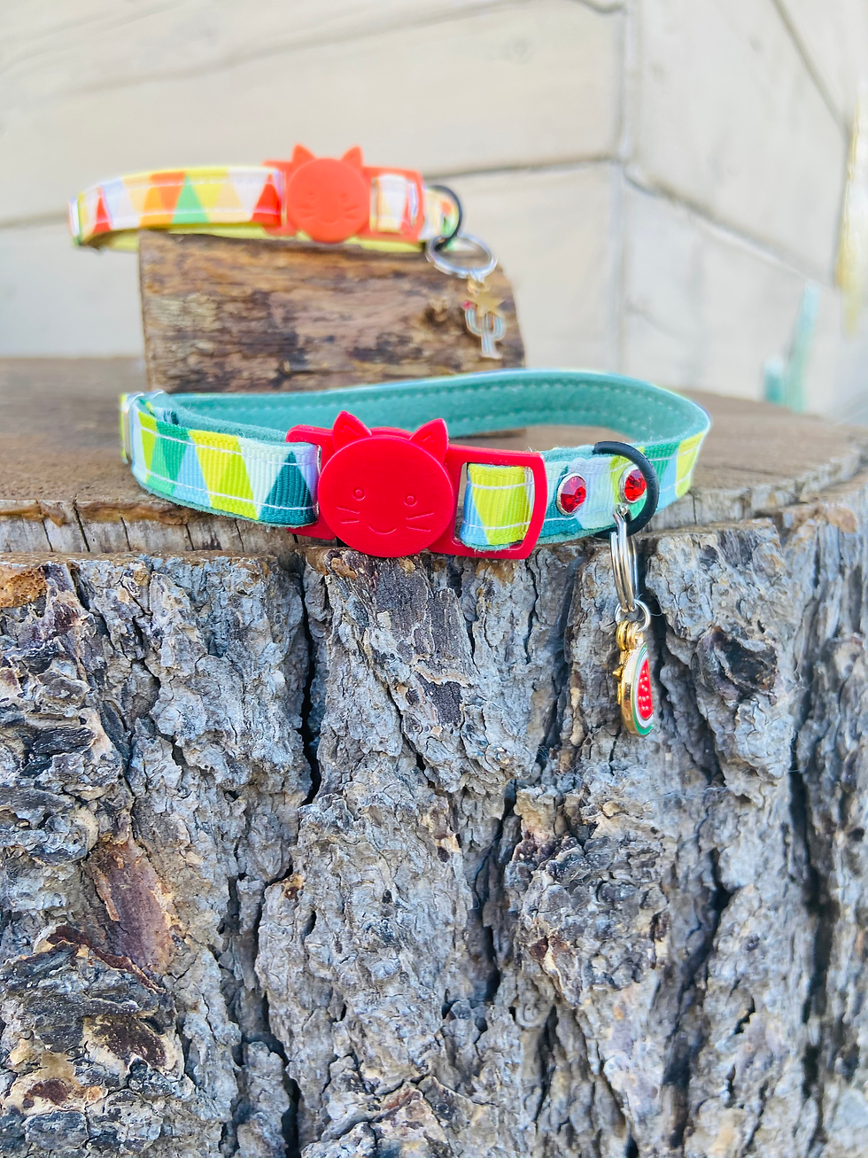 Collier pour chat 