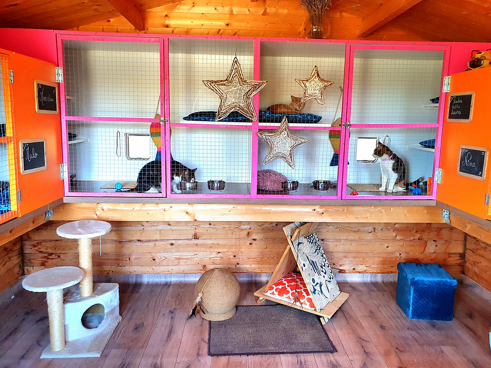 chalet jaune