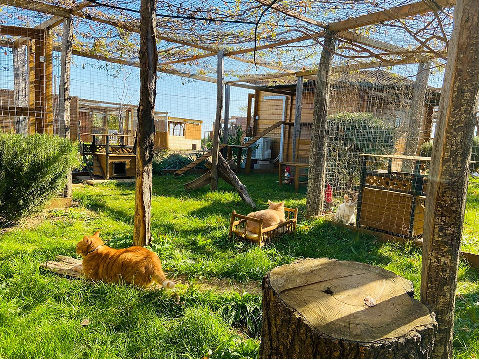 GRAND JARDIN 30M2