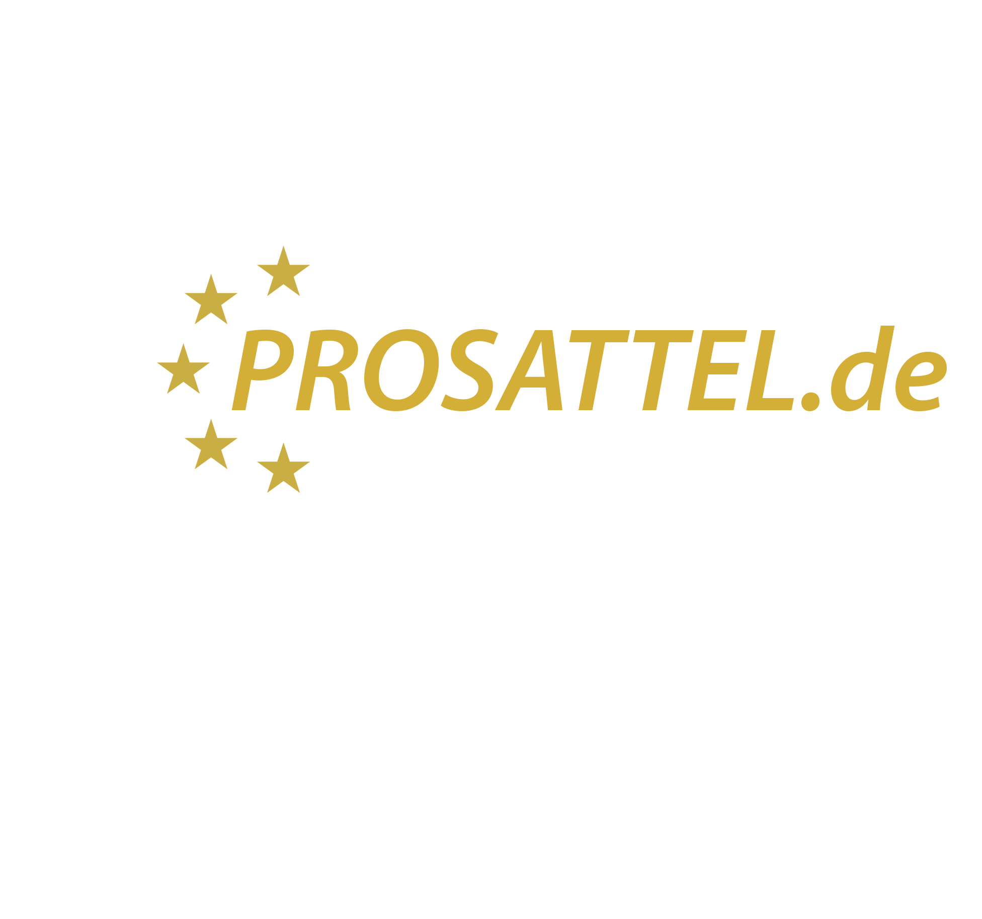 Prosattel.de, Carmen Jäger, Mobiler Sattelservice, Butterfly Sattel, Erreplus, Passier, Le Mieux