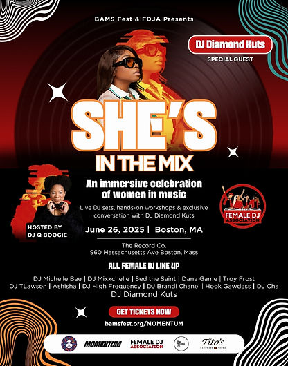 Shes In The Mix - V5.jpg