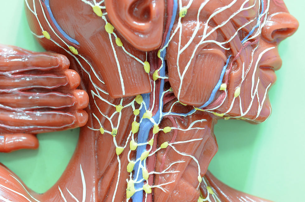 The Power of Lymph Drainage: A Key to Wellness During Pregnancy & Postpartum Recovery