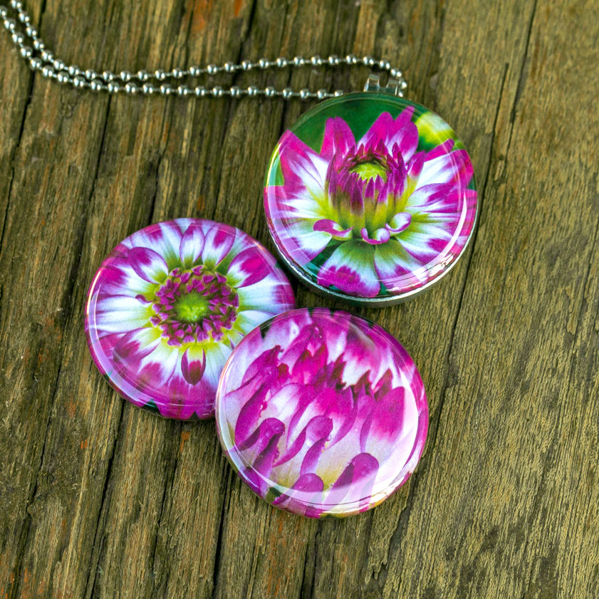 Thumbnail: Pink Dahlia