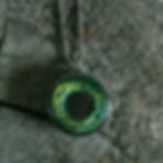 De oogketting van Lady Nature waar jouw iris het kunstwerk is op het medaillon.