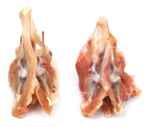 Thumbnail: Chicken / Poultry 鸡