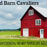 Red Barn Cavaliers logo
