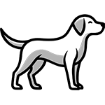 Labrador Icon