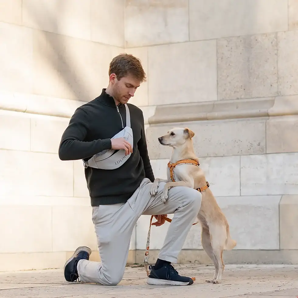 Brustgeschirr - Orbital Planets