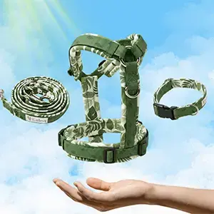 All-in-One Gassi Set