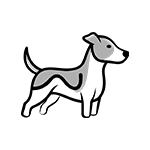 Terrier Dog Icon