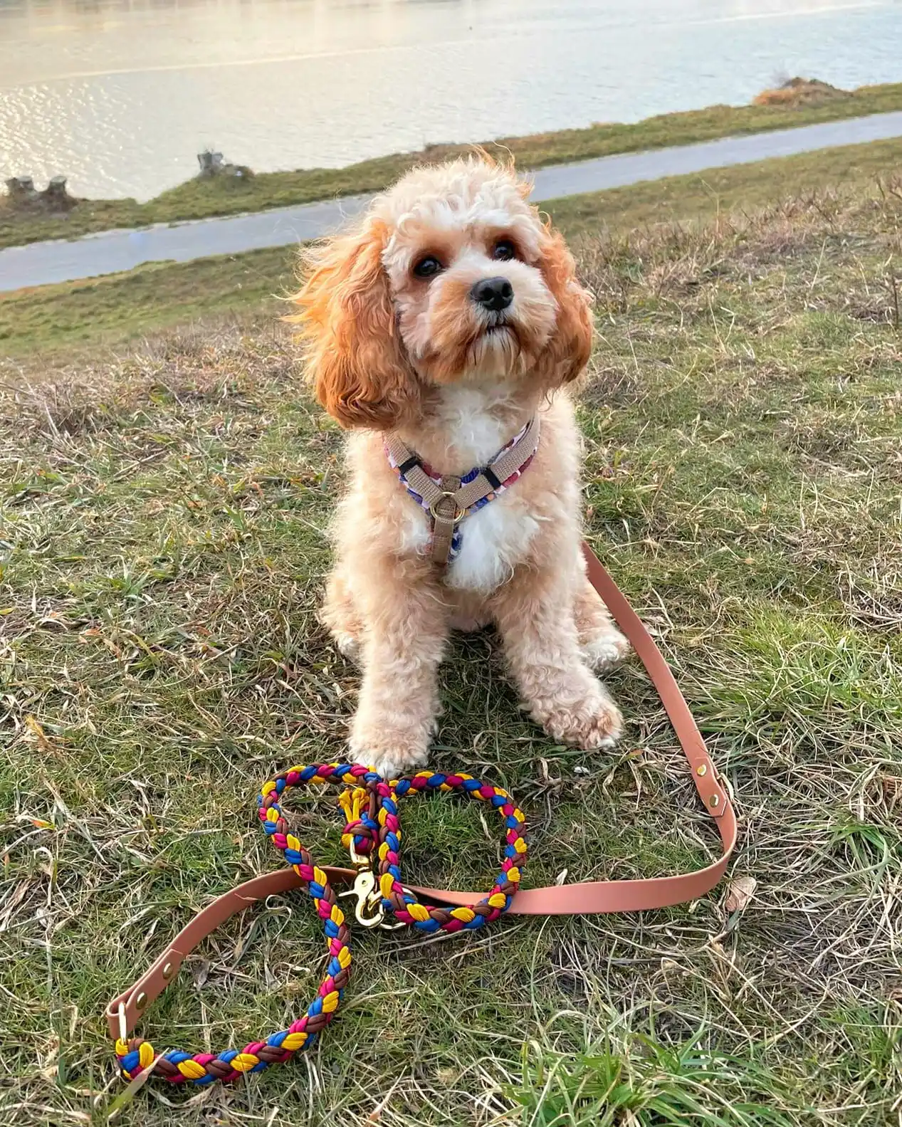 Lotta