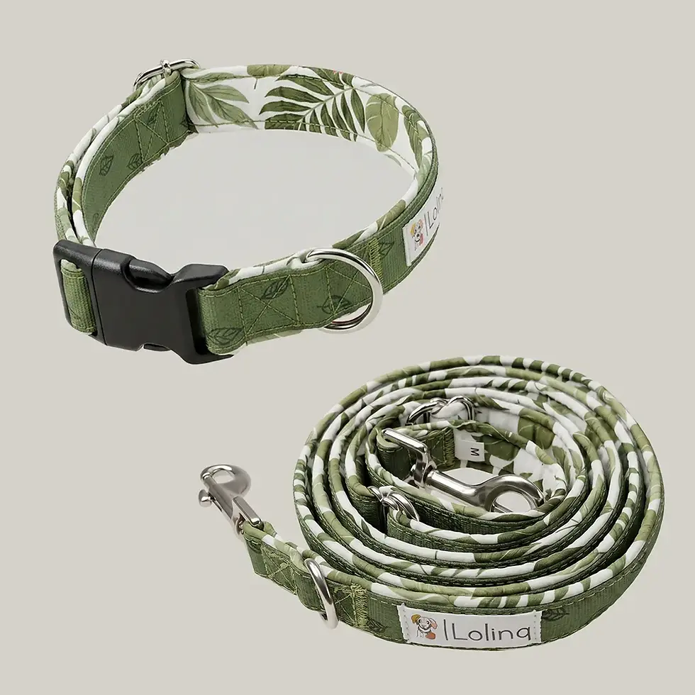 Light Walk Set - Urban Jungle