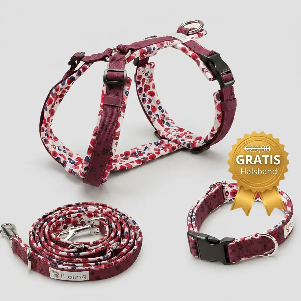 All-in-One Gassi Set - Spirit Blossom