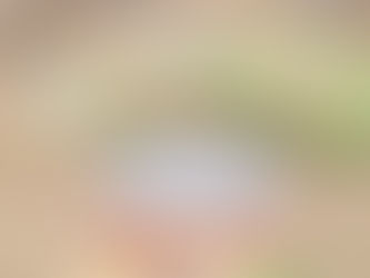 Yucony Diary購読メンバー募集のお知らせ