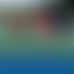 It Takes a Team: The Role of Parents, Coaches, and Teammates