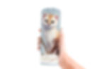 Thumbnail: Stoat