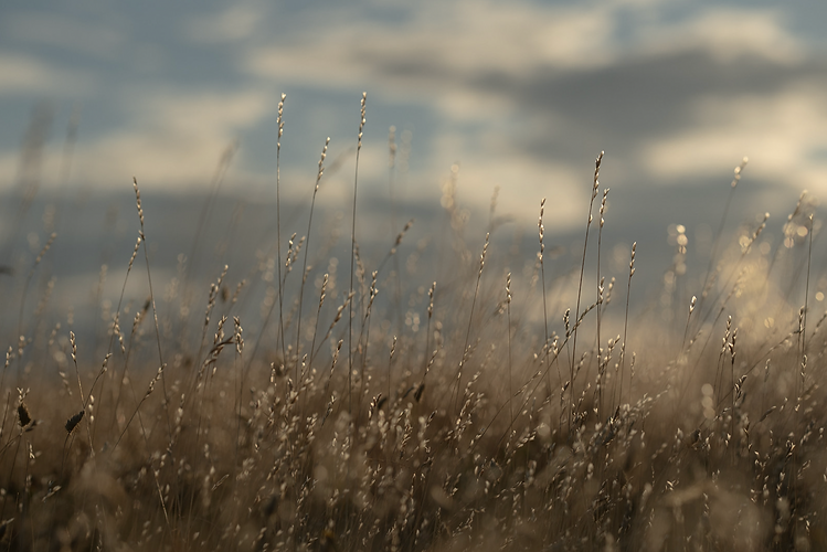 Screenshot 2024-10-03 at 4.49.45 PM.png