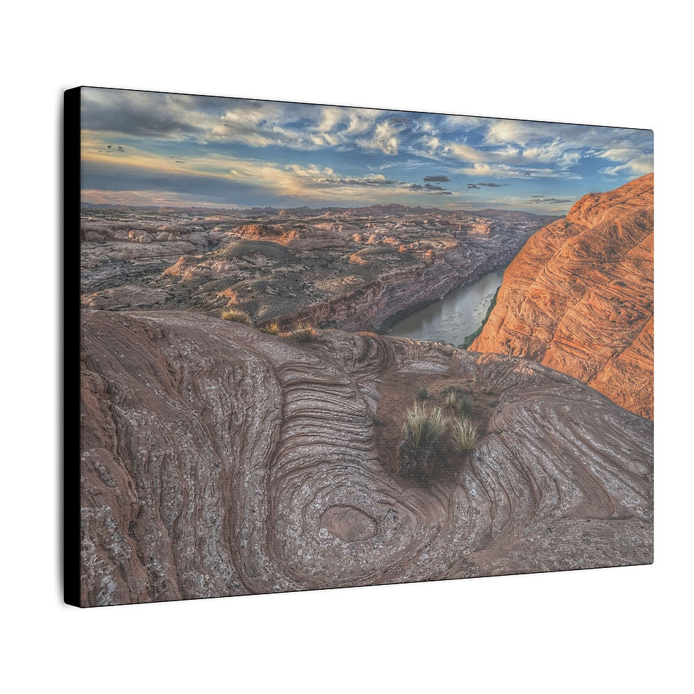 Giclée Print Canvas