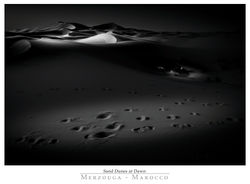 20080410_1823-1