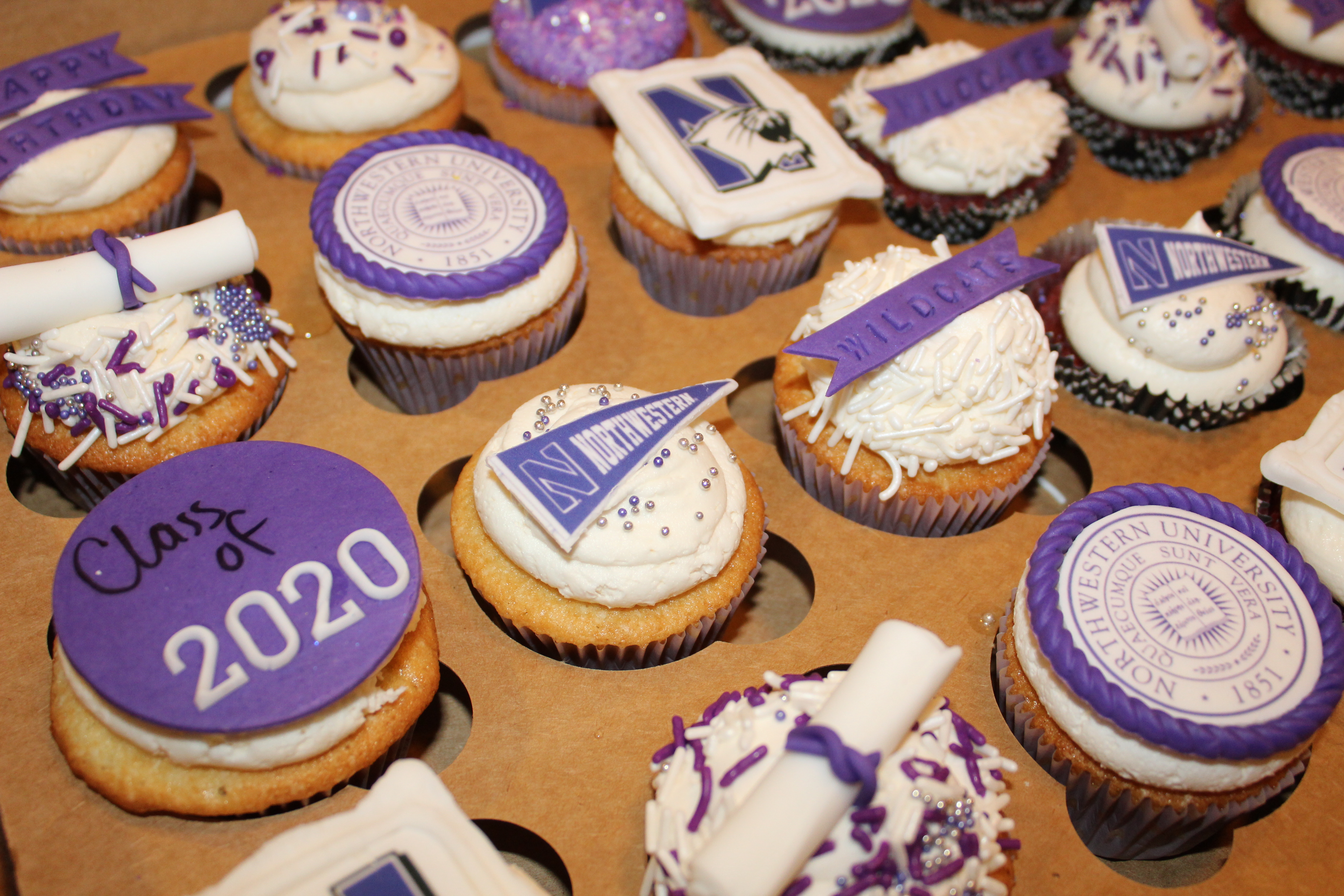 Bakers Bliss Cupcakes