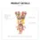 Thumbnail: Mega Royal Molly 400% Huang Yuxing - Bubbles